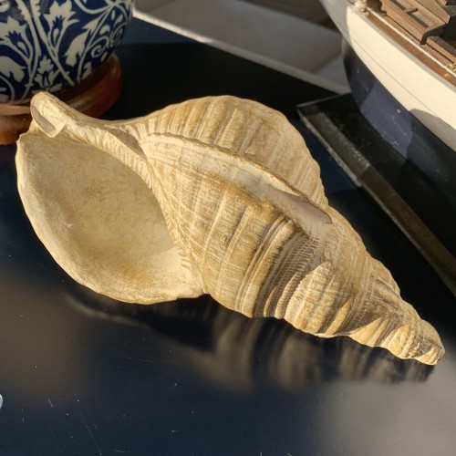 figurka muszli ślimaka morskiego złota